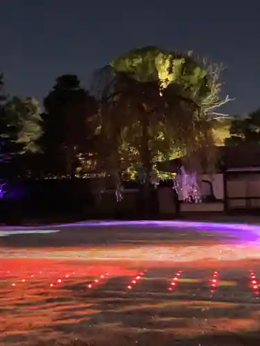 高台寺（高台寿聖禅寺・高臺寺）(京都府)