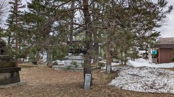 大鳳神社の自然