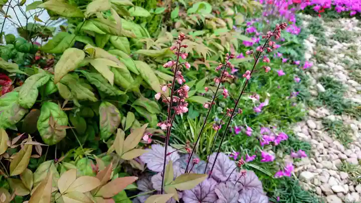 寿量山 速成寺の庭園