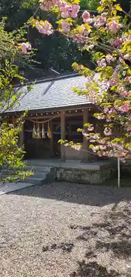 安房神社(千葉県)