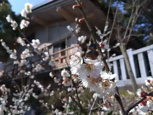 藤島神社（贈正一位新田義貞公之大宮）(福井県)