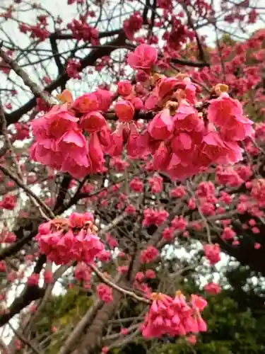 靖國神社(東京都)
