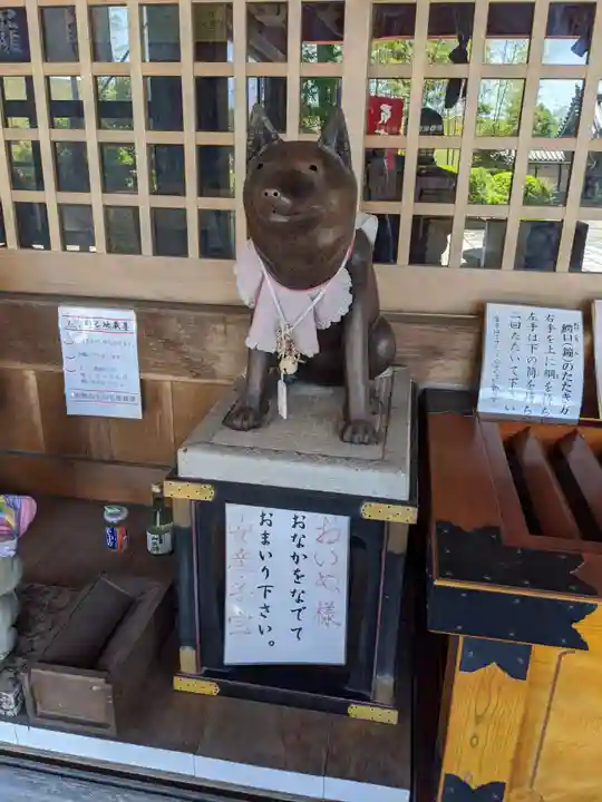 地泉院の狛犬