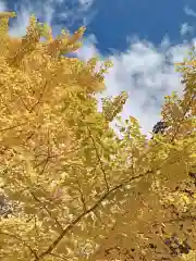 高野山金剛峯寺奥の院(和歌山県)