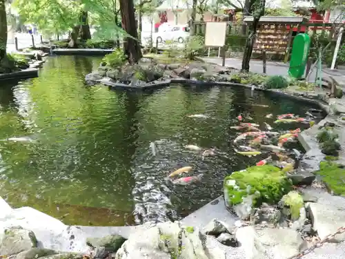 伊豆山神社の庭園