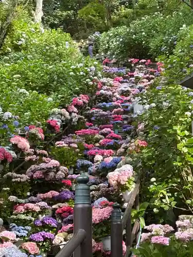 長谷寺(奈良県)