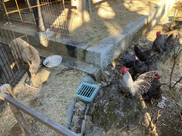 楽法寺(雨引観音)の{uncategorized: "未分類", other: "その他", undefined: "問題あり", building: "その他建物", grave: "お墓", sacred_gate: "鳥居", guardian: "狛犬", statue: "像", buddha: "仏像", history: "歴史", nature: "自然", garden: "庭園", animal: "動物", pagoda: "塔", temizu: "手水舎", mountain_gate: "山門・神門", sanctuary: "本殿・本堂", subordinate: "末社・摂社", art: "芸術", scenery: "景色", jizo: "地蔵", ema: "絵馬", goshuin: "御朱印", omikuji: "おみくじ", items: "授与品その他", amulet: "お守り", goshuincho: "御朱印帳", eats: "食事", festival: "お祭り", votive_dance: "神楽", shichigosan: "七五三参", wedding: "結婚式", experience: "体験その他", initially: "初詣", around: "周辺", anti_infection: "感染症対策"}