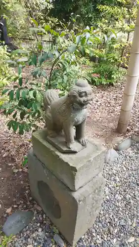 菊田神社の狛犬