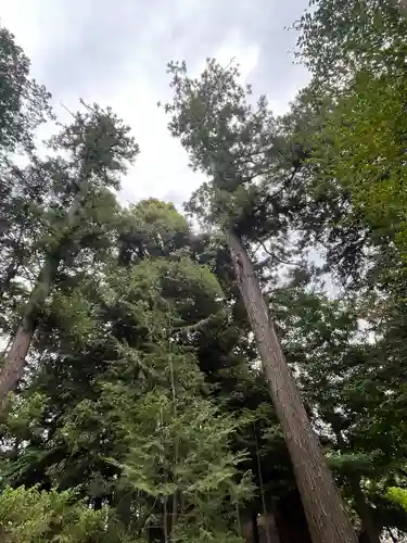 甲斐國一宮 浅間神社(山梨県)