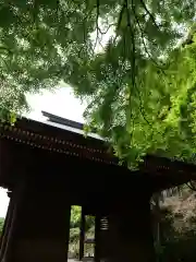 普門寺(切り絵御朱印発祥の寺)(愛知県)