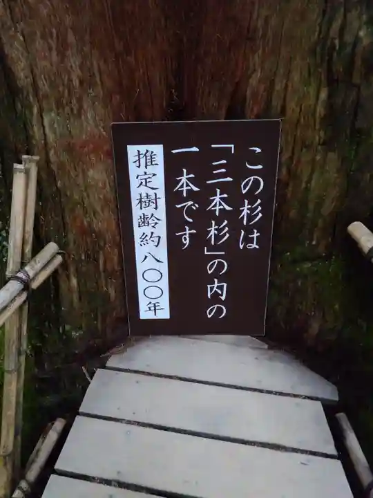 戸隠神社中社(長野県)