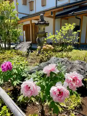 善立寺(神奈川県)