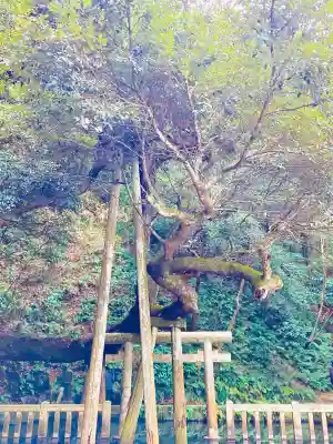 鹿島神宮(茨城県)