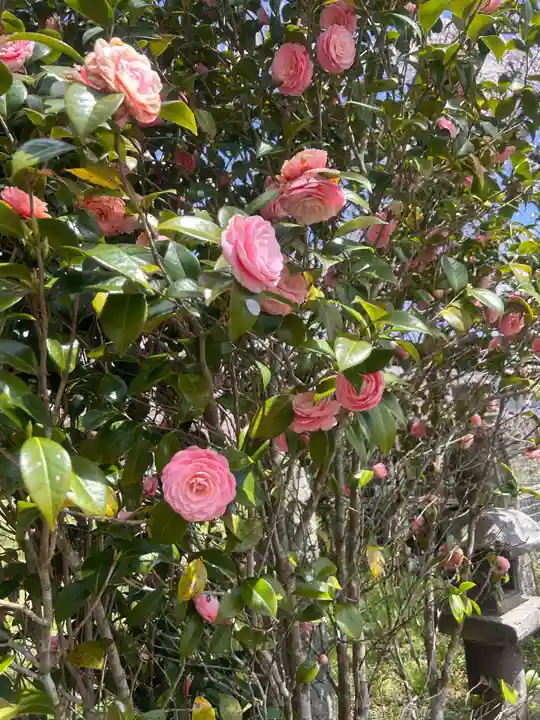 生雲八幡宮(山口県)