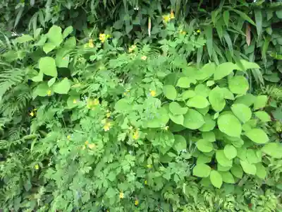 海蔵寺(神奈川県)