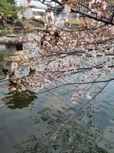 神明宮の庭園