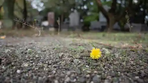 大阪護國神社(大阪府)
