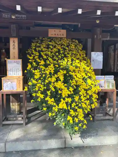 一言主神社(茨城県)