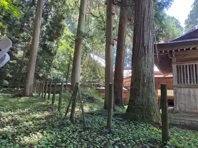 飛驒一宮水無神社(岐阜県)