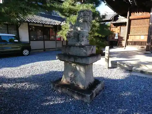 大垣八幡神社の狛犬