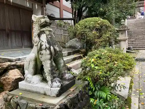 宇治神社の狛犬