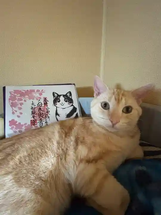 大船観音寺の御朱印