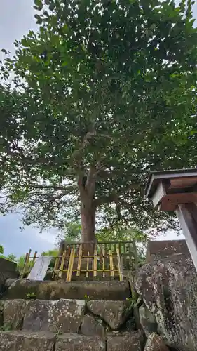八重垣神社(島根県)