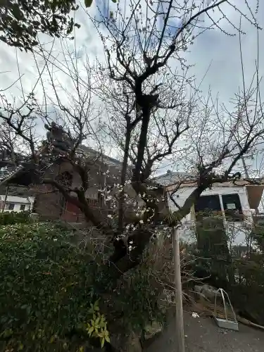金鳳山 正法寺の{uncategorized: "未分類", other: "その他", undefined: "問題あり", building: "その他建物", grave: "お墓", sacred_gate: "鳥居", guardian: "狛犬", statue: "像", buddha: "仏像", history: "歴史", nature: "自然", garden: "庭園", animal: "動物", pagoda: "塔", temizu: "手水舎", mountain_gate: "山門・神門", sanctuary: "本殿・本堂", subordinate: "末社・摂社", art: "芸術", scenery: "景色", jizo: "地蔵", ema: "絵馬", goshuin: "御朱印", omikuji: "おみくじ", items: "授与品その他", amulet: "お守り", goshuincho: "御朱印帳", eats: "食事", festival: "お祭り", votive_dance: "神楽", shichigosan: "七五三参", wedding: "結婚式", experience: "体験その他", initially: "初詣", around: "周辺", anti_infection: "感染症対策"}
