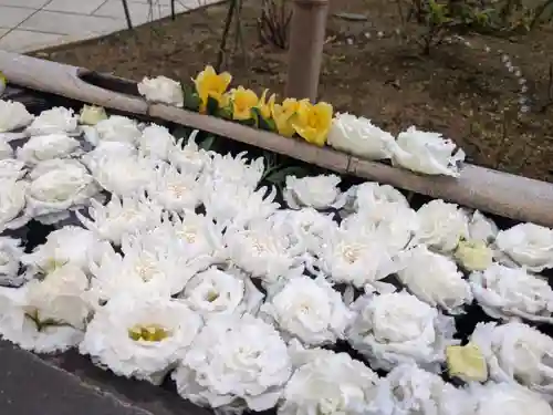 法輪寺の手水舎