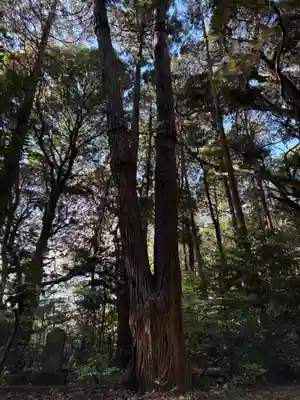 熊野神社(千葉県)