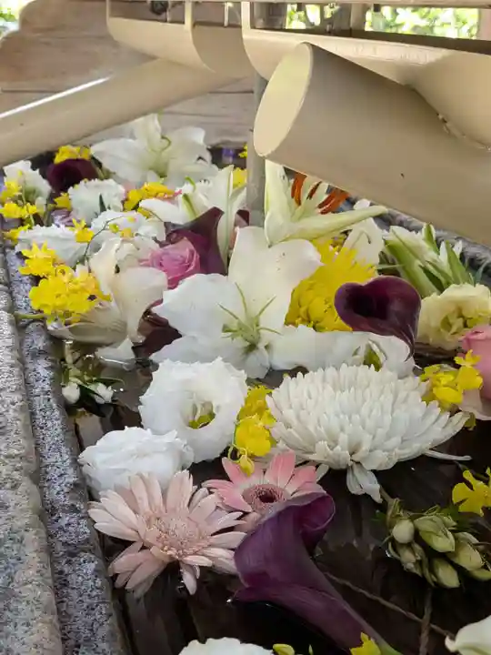 鳩森八幡神社(東京都)