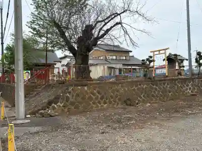 琴平神社の{uncategorized: "未分類", other: "その他", undefined: "問題あり", building: "その他建物", grave: "お墓", sacred_gate: "鳥居", guardian: "狛犬", statue: "像", buddha: "仏像", history: "歴史", nature: "自然", garden: "庭園", animal: "動物", pagoda: "塔", temizu: "手水舎", mountain_gate: "山門・神門", sanctuary: "本殿・本堂", subordinate: "末社・摂社", art: "芸術", scenery: "景色", jizo: "地蔵", ema: "絵馬", goshuin: "御朱印", omikuji: "おみくじ", items: "授与品その他", amulet: "お守り", goshuincho: "御朱印帳", eats: "食事", festival: "お祭り", votive_dance: "神楽", shichigosan: "七五三参", wedding: "結婚式", experience: "体験その他", initially: "初詣", around: "周辺", anti_infection: "感染症対策"}