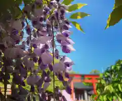 藤島神社（贈正一位新田義貞公之大宮）(福井県)