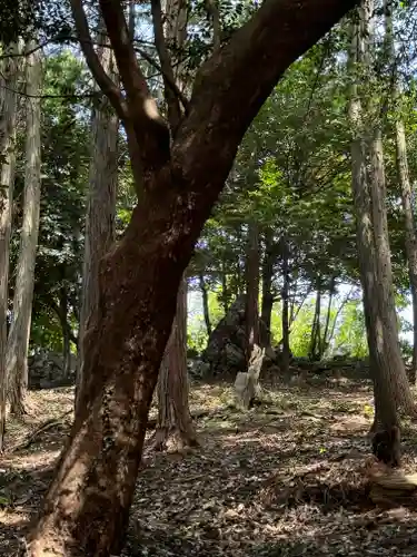 手力雄神社(岐阜県)