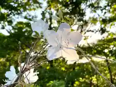 和神社の自然