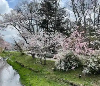 東円寺(山梨県)