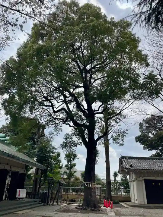 駒込天祖神社の{uncategorized: "未分類", other: "その他", undefined: "問題あり", building: "その他建物", grave: "お墓", sacred_gate: "鳥居", guardian: "狛犬", statue: "像", buddha: "仏像", history: "歴史", nature: "自然", garden: "庭園", animal: "動物", pagoda: "塔", temizu: "手水舎", mountain_gate: "山門・神門", sanctuary: "本殿・本堂", subordinate: "末社・摂社", art: "芸術", scenery: "景色", jizo: "地蔵", ema: "絵馬", goshuin: "御朱印", omikuji: "おみくじ", items: "授与品その他", amulet: "お守り", goshuincho: "御朱印帳", eats: "食事", festival: "お祭り", votive_dance: "神楽", shichigosan: "七五三参", wedding: "結婚式", experience: "体験その他", initially: "初詣", around: "周辺", anti_infection: "感染症対策"}