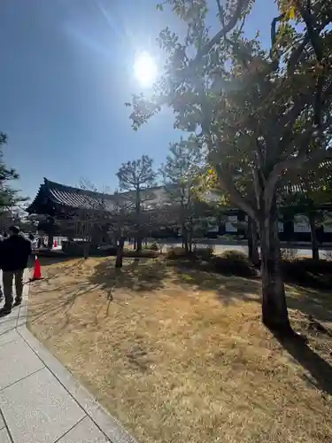 蓮華王院（三十三間堂）の御朱印