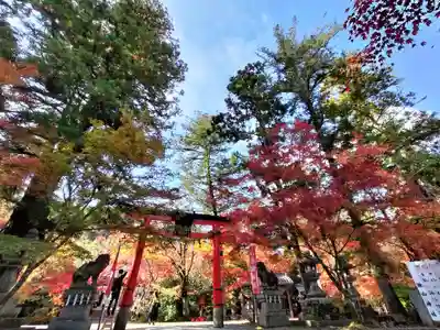鍬山神社(京都府)
