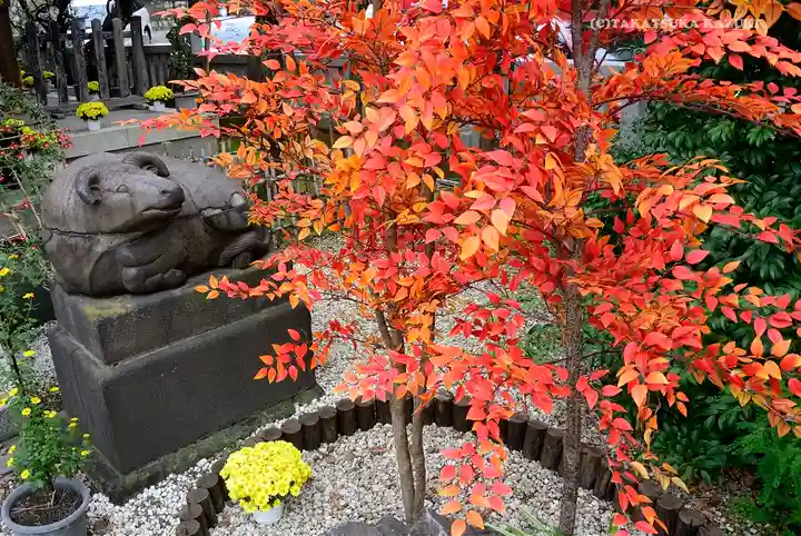 牛天神北野神社の狛犬