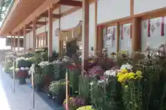 美奈宜神社(福岡県)