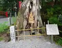 秩父今宮神社(埼玉県)
