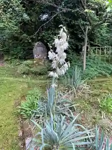 国上寺(新潟県)(2025年07月05日(土) 14時28分07秒投稿)