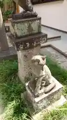 天明稲荷神社の狛犬