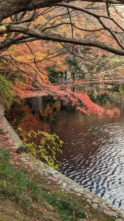 龍安寺(京都府)