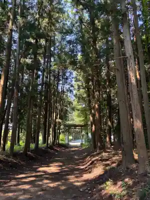 須賀神社(茨城県)
