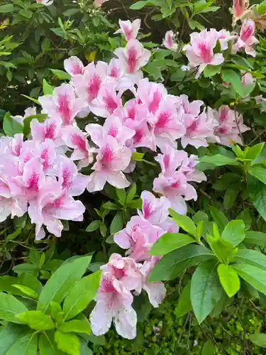 濱田護國神社の自然