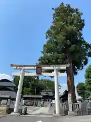 鹿沼今宮神社(栃木県)