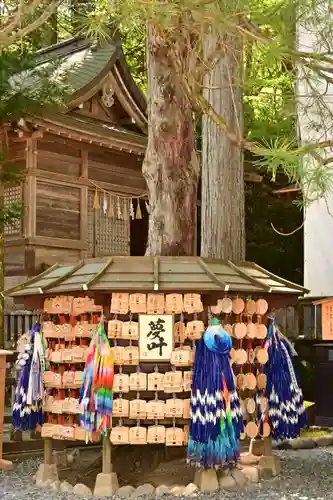 諏訪大社(長野県)