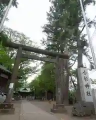 小杉神社の鳥居